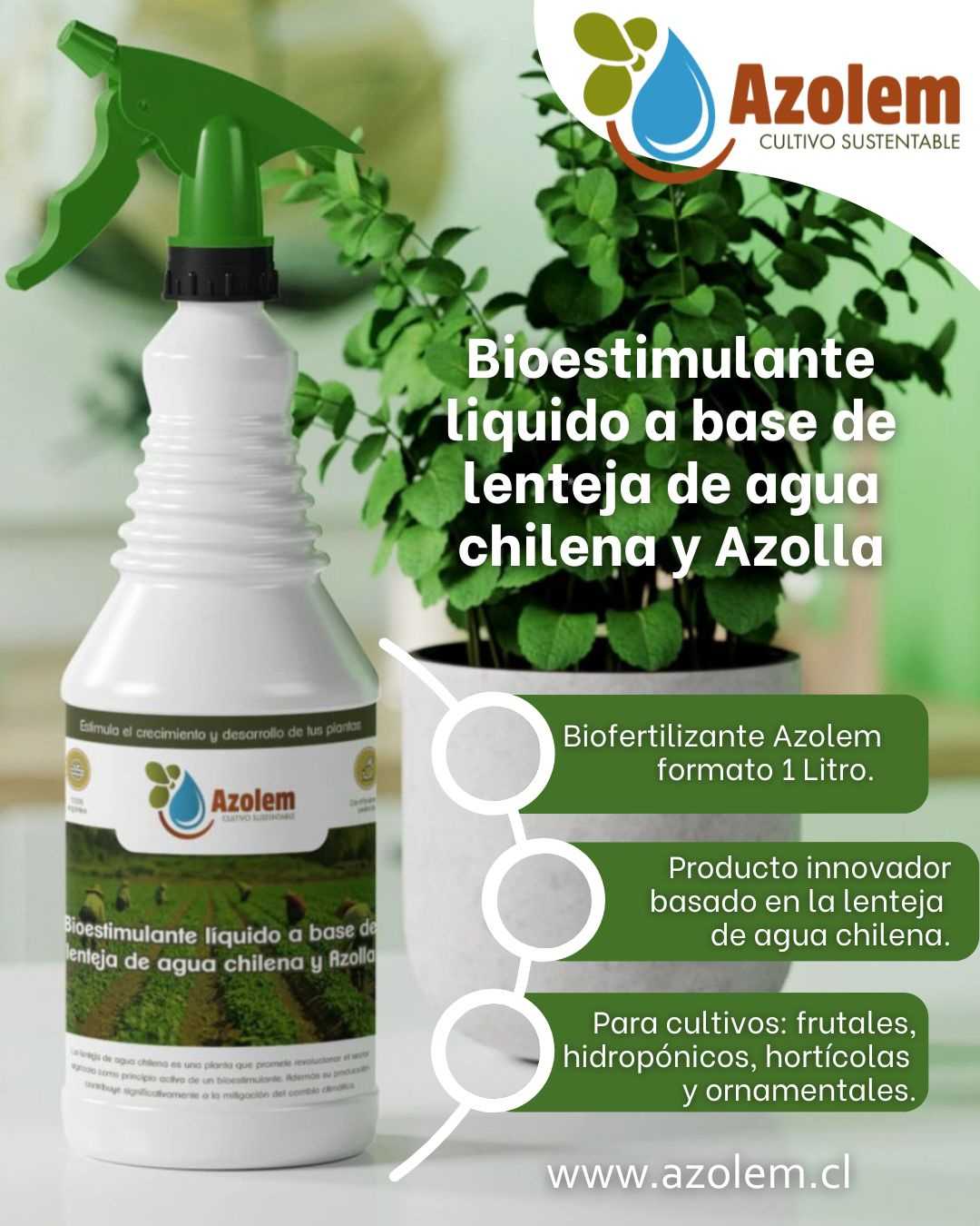 2 Azolem Bioestimulante liquido 1 litro