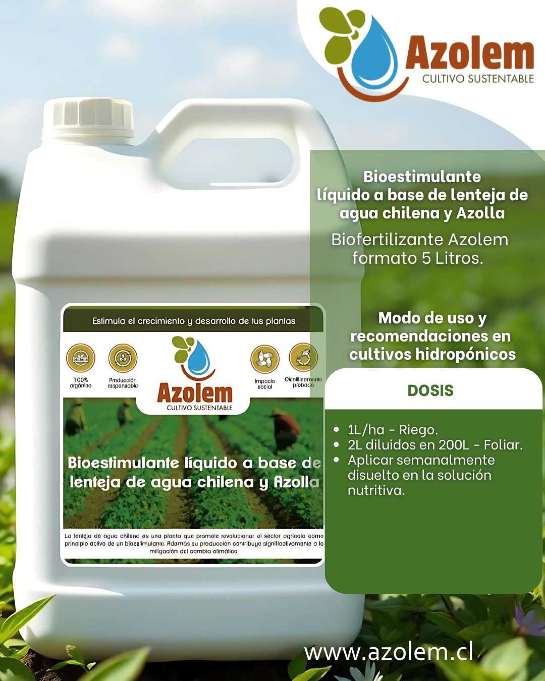 3 Azolem Bioestimulante cultivos hidropónicos