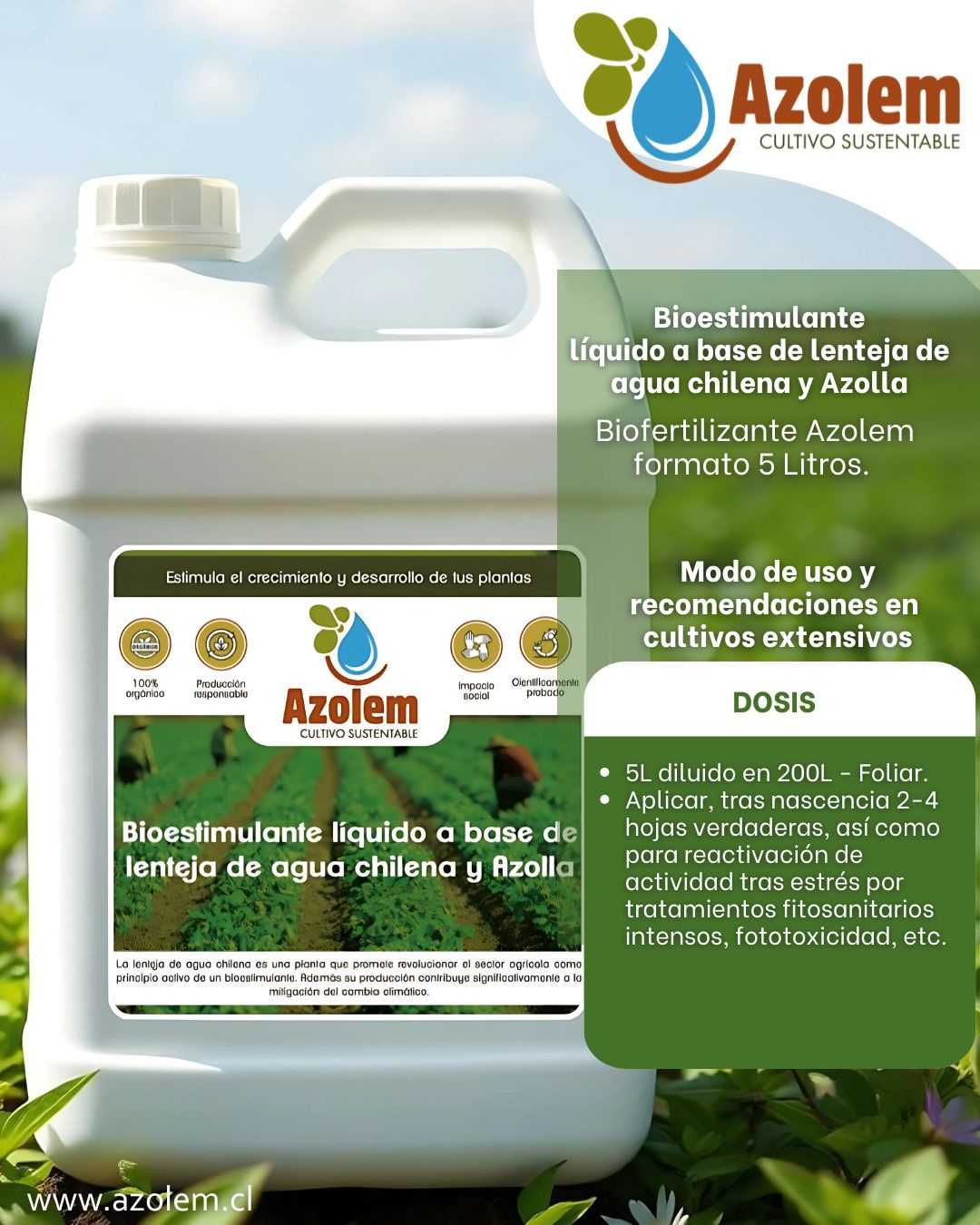 5 Azolem Bioestimulante cultivos extensivos