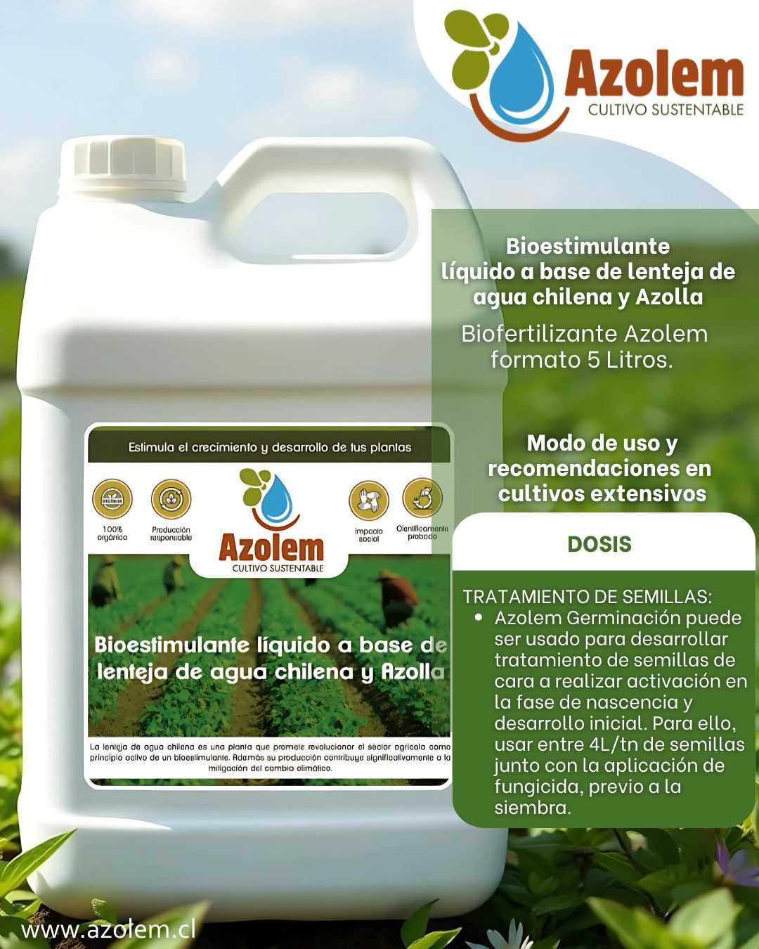 6 Azolem Bioestimulante cultivos extensivos TRATAMIENTO DE SEMILLAS
